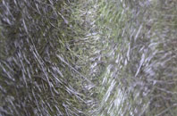 Kilhallon fibreglass roof work